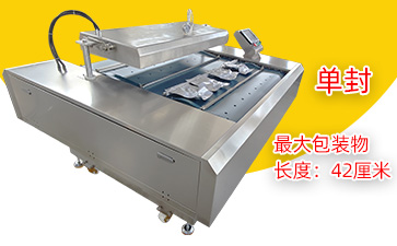 DZ-1100连续滚动式真空包装机（单封）