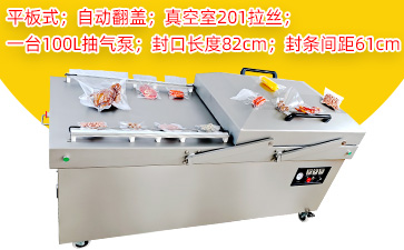 DZ-820/2SA自动翻盖双室平板真空包装机（201拉丝款...